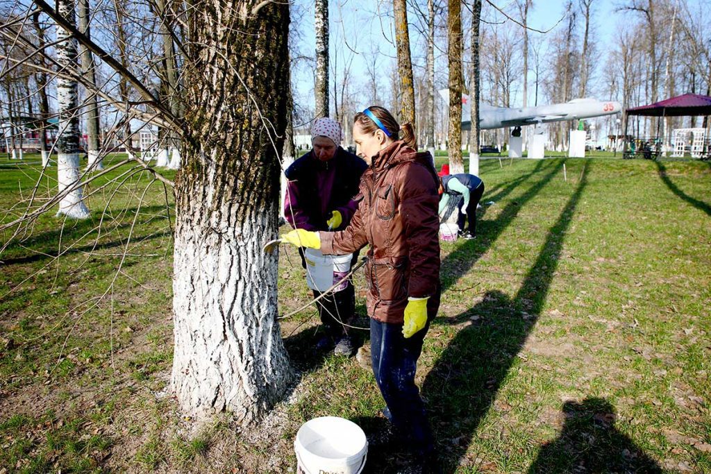 Месячник по благоустройству: как климовчане приводят в порядок парки и аллеи