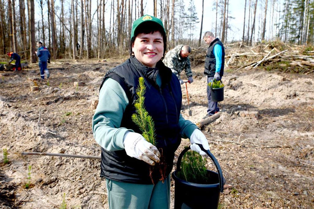 «Лес! Дабро! Парадак!»: трудовой десант климовчан в Гусарском лесничестве