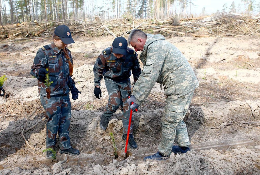 «Лес! Дабро! Парадак!»: трудовой десант климовчан в Гусарском лесничестве