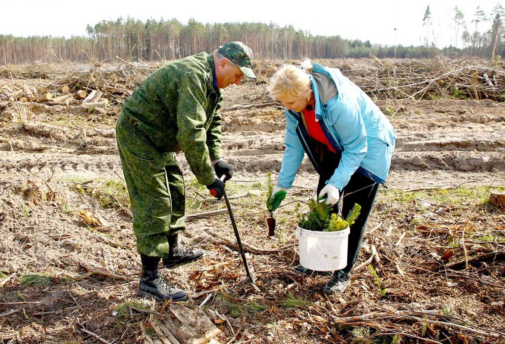 «Лес! Дабро! Парадак!»: трудовой десант климовчан в Гусарском лесничестве