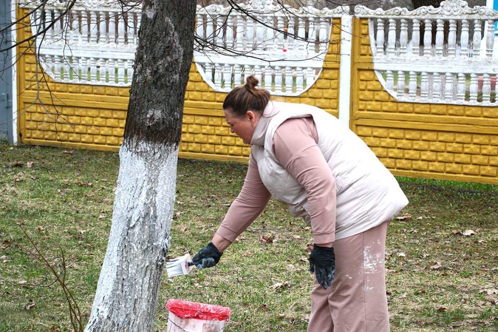 Жители Климовщины наводят порядок в парках и на улицах населенных пунктов