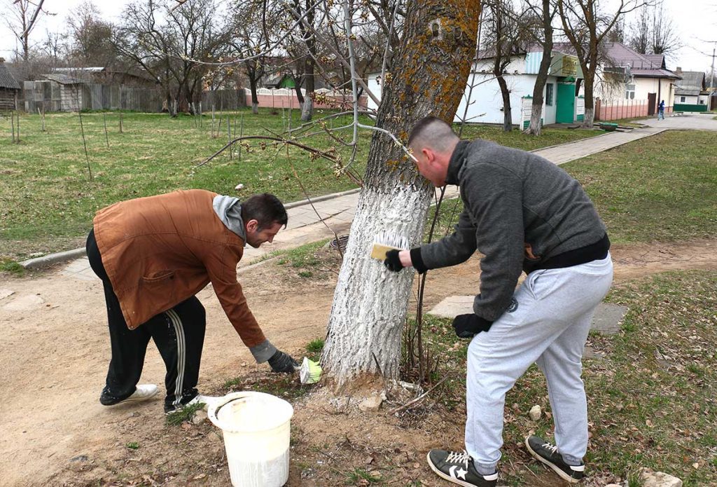 Жители Климовщины наводят порядок в парках и на улицах населенных пунктов