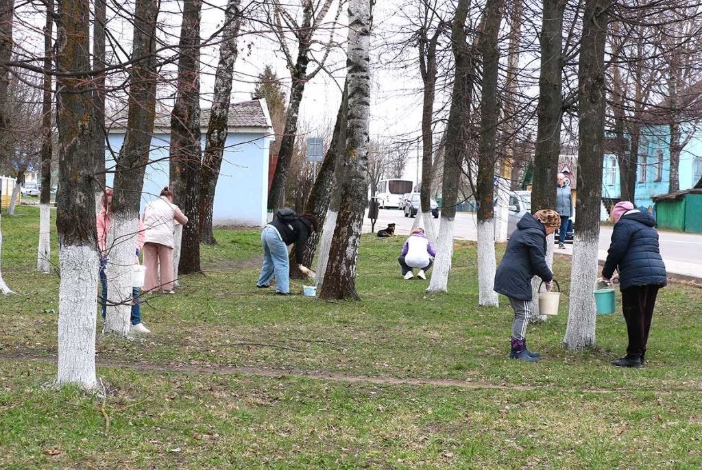 Жители Климовщины наводят порядок в парках и на улицах населенных пунктов