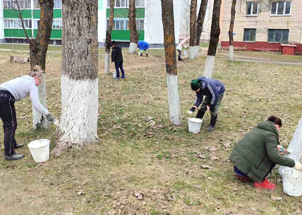 Климовчане создают красоту и комфорт своими руками
