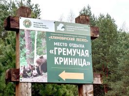 Главная