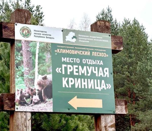 Главная