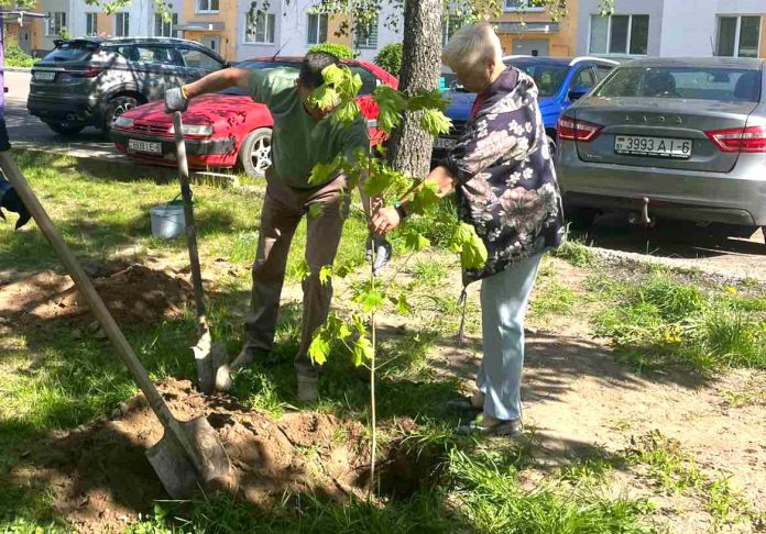 изображение_viber_2026-05-12_11-27-21-789