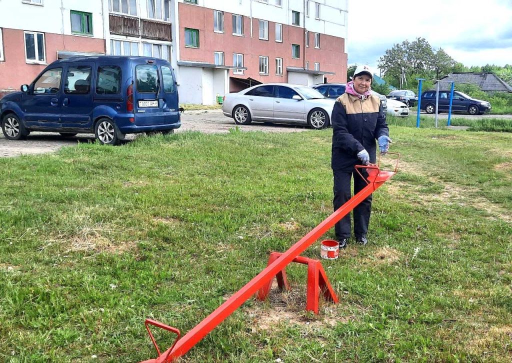 В Климовичах РОО «Белая Русь» и работники ЖКХ реализуют совместный проект