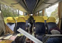 Стали известны подробности о поездке в Геленджик детей из Гомельской области