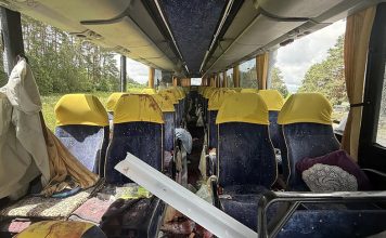 Стали известны подробности о поездке в Геленджик детей из Гомельской области Главная