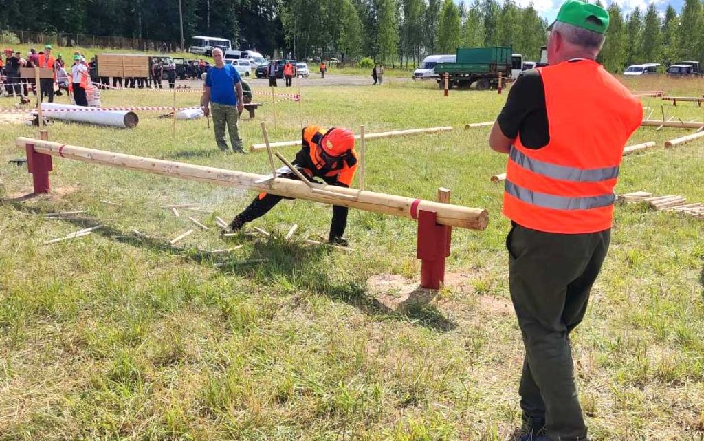 Команда Климовичского лесхоза завоевала серебро областных соревнований «Лесоруб-2026»