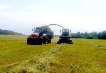 В ОАО «Макеевичи» продолжается кормозаготовка
