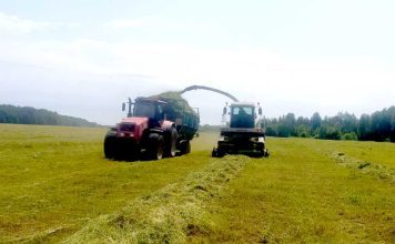 В ОАО «Макеевичи» продолжается кормозаготовка Главная