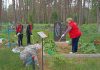 Память в наших делах: молодежь Климовщины благоустроила воинские захоронения