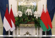 Встреча президентов Беларуси и Индонезии проходит в Джакарте