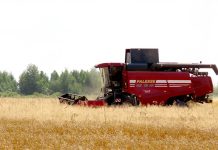 В ОАО «Макеевичи» Климовичского района убрали рапс и ячмень