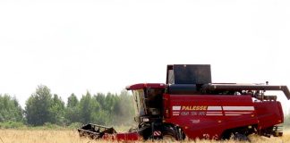 В ОАО «Макеевичи» Климовичского района убрали рапс и ячмень
