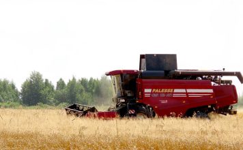 В ОАО «Макеевичи» Климовичского района убрали рапс и ячмень