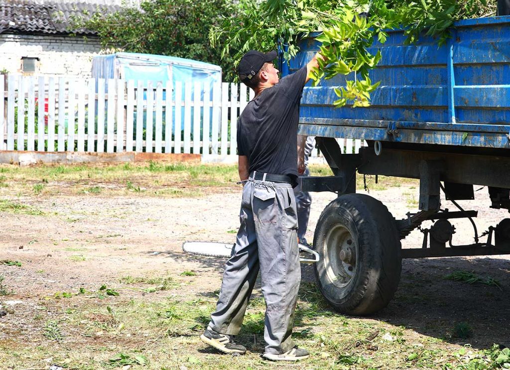 Где в Климовичах по инициативе горожан провели субботник