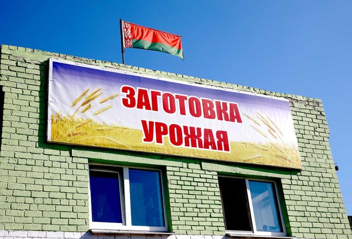 заготовка-урожая
