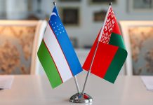 Медицина, туризм, промышленность. Беларусь и Узбекистан наметили сферы для расширения сотрудничества