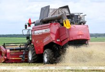 В Беларуси намолотили 7,6 млн тонн зерна