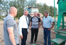 Аграрии Климовщины сеют озимые зерновые