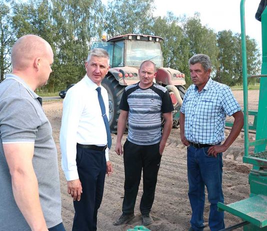 Аграрии Климовщины сеют озимые зерновые Главная