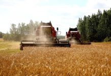 Называем лидеров уборочной страды в Климовичском районе на 14 августа