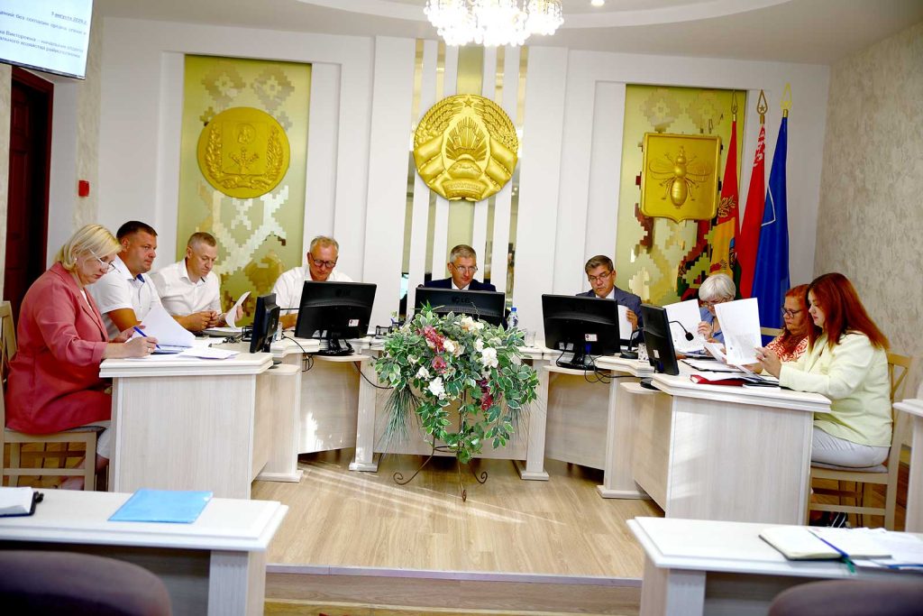 Тему профилактики ОРИ и гриппа обсудили на очередном заседании Климовичского райисполкома