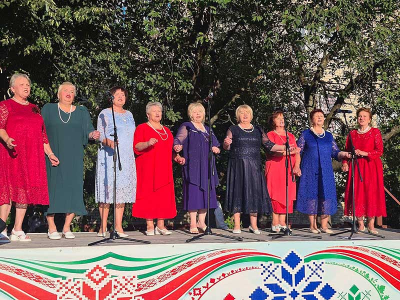 Домами и сердцами: на улице Ленина прошел зажигательный праздник двора