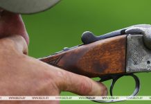 С 1 сентября открывается охота на бобра и выдру, рассказали в Костюковичской районной инспекции природных ресурсов и охраны окружающей среды