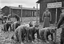 Западная Беларусь, год 1939-й: концлагерь в Березе-Картузской