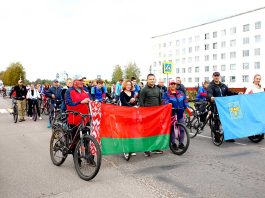 Главная