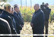 Лукашенко ознакомился с экспериментом по повышению плодородия почв