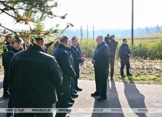 Лукашенко поручил Минсельхозпроду не ослаблять давление на регионы по проблеме падежа КРС