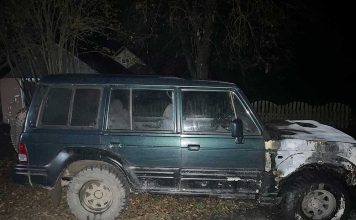 В агрогородке Звенчатка горел автомобиль