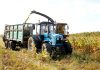 В КСУП «Полошково» убрали более половины кукурузы