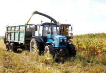 В КСУП «Полошково» убрали более половины кукурузы