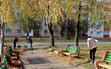 Осеннее благоустройство в Климовичах: уборка листвы и наведение порядка