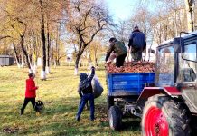 На Климовщине продолжается эстафета добрых дел по наведению порядка