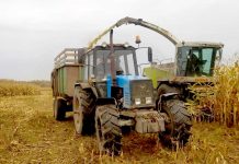 В ОАО «Макеевичи» мехотряд готовит кукурузный силос