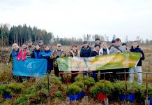 Все больше климовчан присоединяются к акции «Дай лесу новае жыццё!»