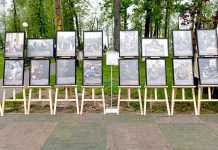 Уникальную выставку представит Климовичский краеведческий музей на «Дожинках-2026» в Шклове